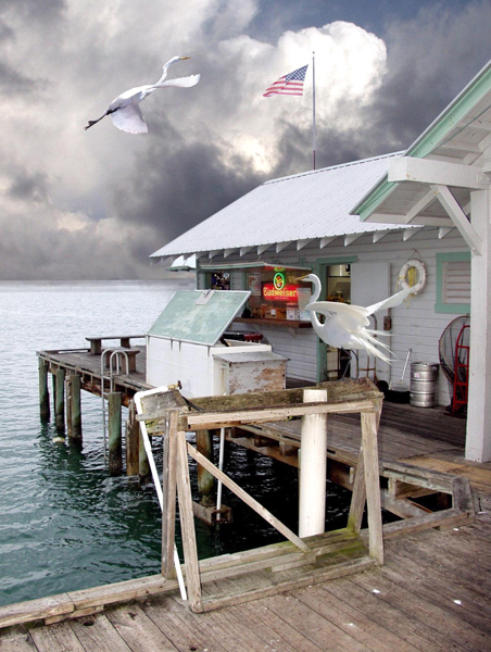 pier higgins 05-04